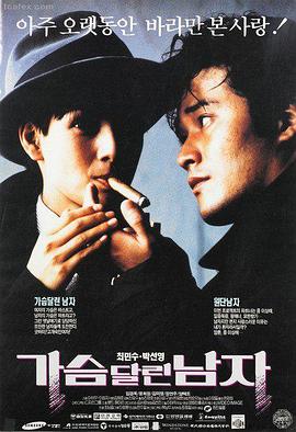 蔷薇风暴 群像海报